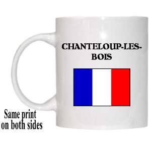  France   CHANTELOUP LES BOIS Mug: Everything Else