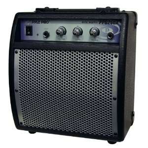  80 Watt Portable Guitar Amplifier: Musical Instruments