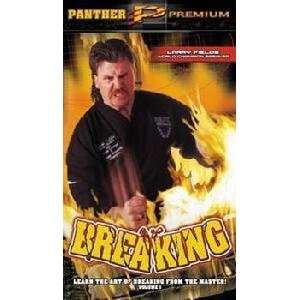  Power Breaking DVD with Larry Fields: Sports & Outdoors