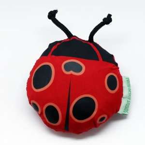   : Cute Green Reusable Earth Eco friendly Tote Bags (Ladybug): Baby