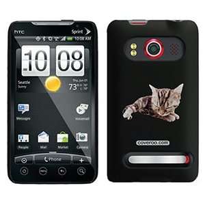  Short Hair Kitten on HTC Evo 4G Case  Players 