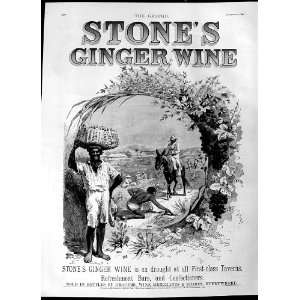    1892 Advertisement StoneS Ginger Wine Drink