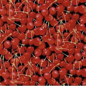  RJR101 1 Farmers Market with Cherries Quilting Fabric by 