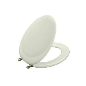    NG Revival Toilet Seat with Vibrant Brushed Bronze Hinges, Tea Green