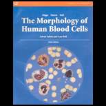 Morphology of Human Blood Cells 6TH Edition, Lemuel Whitley Diggs 