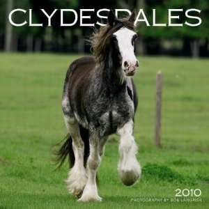  Clydesdales 2010 Wall Calendar: Office Products