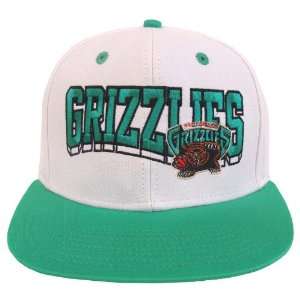   Grizzlies Retro Hat Cap Snapback Jordan SL WHITE TEAL: Everything Else