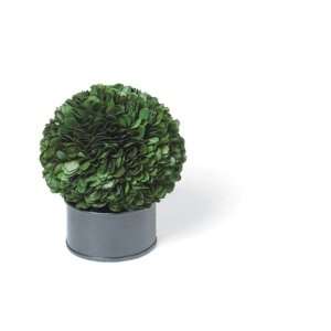  Foreside Boxwood Globe Topiary, 4 Inch