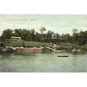   Postcard   Scene in Glen Oak Park   Peoria Illinois 