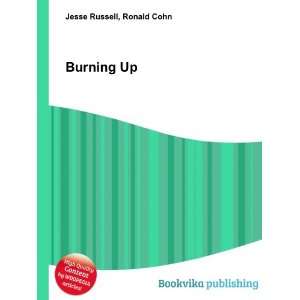  Burning Up Ronald Cohn Jesse Russell Books