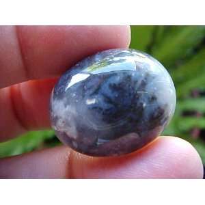  Zs6012 Gemqz Dendrite Agate Oval Cabochon Large 