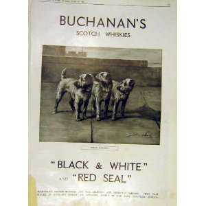  Dublin Fusiliers Scotch Whisky BuchananS Print 1915
