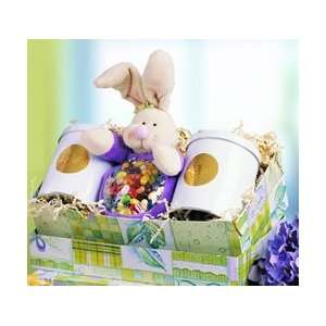  Plush Bunny Gift Set: Toys & Games