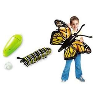  Inflatable Butterfly Life Cycle: Office Products