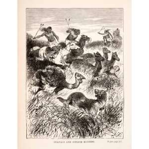  1878 Wood Engraving Hunting Gunaco Camelid Indians Ostrich 
