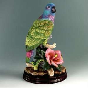  Andrea Sadeck 9773 Blue Headed Parrot W/Hibiscus 