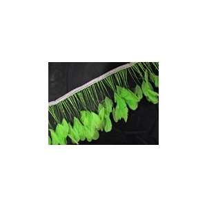  Beautiful Strip Coq Tail Trims FR 801 Lime Toys & Games