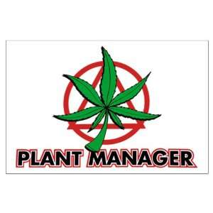  Large Poster Marijuana Plant Manager 