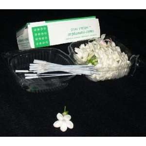  Stephanotis Stems White Pack of 200: Arts, Crafts & Sewing