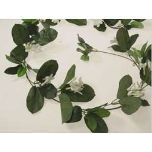  STEPHANOTIS GARLAND