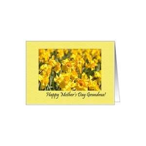  Yellow Daffodil Flower Happy Mothers Day Grandma Card 