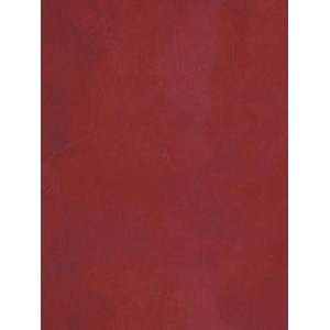  Wallpaper Steves Color Collection   All BC1581722: Home 
