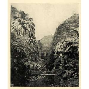 1901 Print Reunion Island Madagascar St. Paul Ravine Natural History 