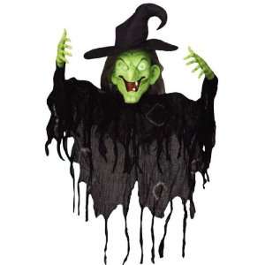  Gemmy 27495 Motion Activated Hanging Witch with Sound 
