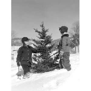 Two Boys Chopping Down Christmas Tree in Snow Outdoor Photographic 