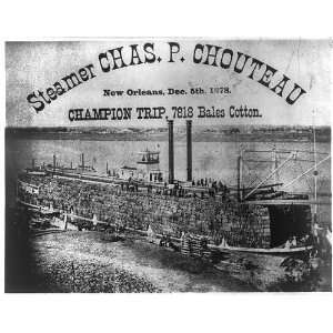  CHARLES P. CHOUTEAU,New Orleans,1878,Champion trip