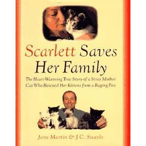  Scarlett Saves Her Family [Hardcover]: Jane Martin: Books