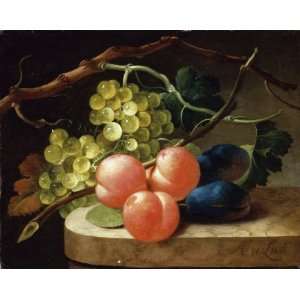   Grapes on a Vine, Peaches and Plums on a Ledge Arts, Crafts & Sewing