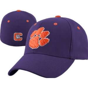  Clemson Tigers Team Color Top of the World Flex Fit Hat 