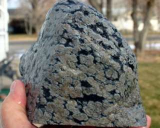   FLAKE, SNOWFLAKE OBSIDIAN Rock/rough/agate/jasper/4.4 lb Chunk  