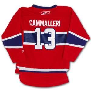  Mike Cammalleri Montreal Canadiens Reebok Child Replica (4 