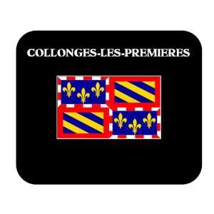  Bourgogne (France Region)   COLLONGES LES PREMIERES 