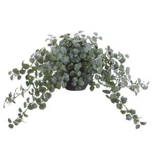  11 Creeping Fig Plant W/495 Lvs. in Paper Mache Pot Green 