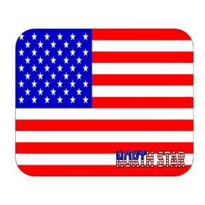  US Flag   North Star, Delaware (DE) Mouse Pad Everything 