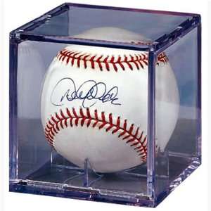  Baseball Acrylic Display Case