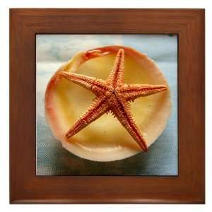  Framed Tile Sea Shell and a Starfish 