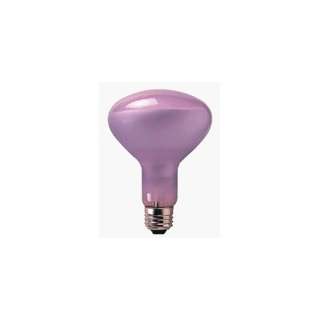  R25 Full Spectrum Flood Light Bulbs: Home Improvement