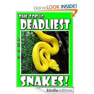 The Top 10: Deadliest Snakes! (The eZoo for Kids): Cody Morrow:  