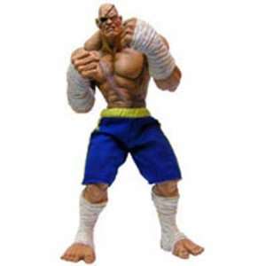    Street Fighter Roto Cast Sagat Figure 12 inches: Toys & Games