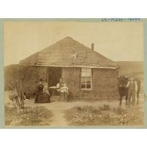    Rural life,Laulerman Family,Sod House,boy,bull,1886