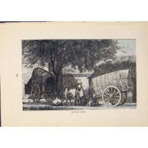  Cart Carts Rural Country Horse Cow Antique Print Art: Home 