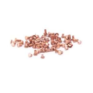  Assorted Copper Rivets