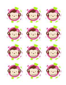 Monkey Birthday Cake on Pink Mod Monkey 1st Birthday Party Supplies