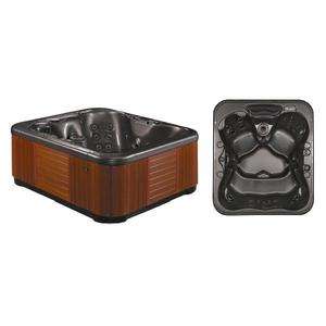 Hot Tub Jacuzzi Spa 4 5 Person Tranquility Series    