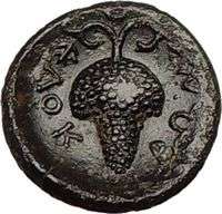 LOKRIS OPUNTIA 350BC Athena & Grapes Ancient Greek Coin  