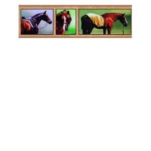  Wallpaper York Fathers & Sons II Horse HJ6621BD
